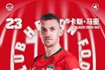 祝卢卡斯·马亚和杨意林生日快乐！