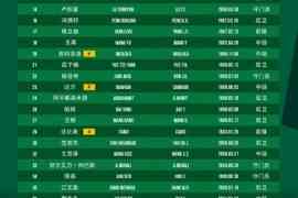 国安中超名单：五门将在列韩佳奇改穿22号，斯帕吉奇无缘