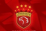 票务公告 上海海港vs青岛西海岸