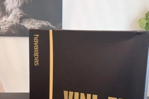 收到维尼修斯送的人字拖礼物,迪奥曼德:兄弟,真的非常感谢