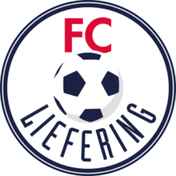 提斯特德